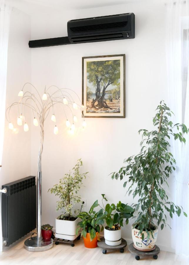 Divia Apartment Rijeka Exteriér fotografie